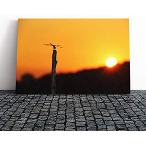 Big Box Art Dragonfly Insect (5) Canvas Print Gallery Wrapped 30mm Frame Wall Art 24x16 inches Ready to Hang Modern Animals Picture Living Room Bedroom Lounge Office Big Box Art Dragonfly Insect (5) Canvas Print Gallery Wrapped 30mm Frame Wall Art 24x16 inches Ready to Hang Modern Animals Picture Living Room Bedroom Lounge Office
