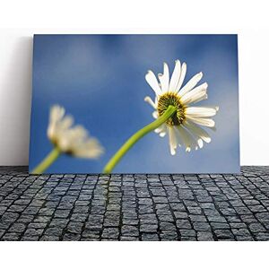 Big Box Art Canvas Print Wall Art White Flowers Reaching for The Sun Mounted & Stretched Box Frame Picture Home Decor for Kitchen, Living Room, Bedroom, Hallway, Multi-Colour, 30x20 Inch Big Box Art Canvas Print Wall Art White Flowers Reaching for The Sun Mounted & Stretched Box Frame Picture Home Decor for Kitchen, Living Room, Bedroom, Hallway, Multi-Colour, 30x20 Inch