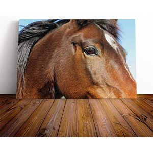 Big Box Art Brown Horse Canvas Print Gallery Wrapped 30mm Frame Wall Art 30x20 inches Ready to Hang Modern Animals Picture Living Room Bedroom Lounge Office Big Box Art Brown Horse Canvas Print Gallery Wrapped 30mm Frame Wall Art 30x20 inches Ready to Hang Modern Animals Picture Living Room Bedroom Lounge Office
