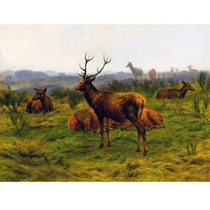 Fine Art Prints Bonheur The Monarch Of The Deer Herd Stag Painting Landscape Large Wall Art Print Canvas Premium Mural Fine Art Prints Bonheur The Monarch Of The Deer Herd Stag Painting Landscape Large Wall Art Print Canvas Premium Mural