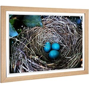 Big Box Art Framed Print of Birds Nest Duck Egg Blue Design Wall Art Picture Home Decor for Kitchen, Living, Dining Room, Bedroom, Hallway, Office, Oak, A2 / 24.5x18 Inch / 62x45cm Big Box Art Framed Print of Birds Nest Duck Egg Blue Design Wall Art Picture Home Decor for Kitchen, Living, Dining Room, Bedroom, Hallway, Office, Oak, A2 / 24.5x18 Inch / 62x45cm