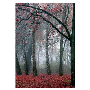 Wee Blue Coo Photo Nature Forest Tree Autumn Fall Beautiful Red Wall Art Print Wee Blue Coo Photo Nature Forest Tree Autumn Fall Beautiful Red Wall Art Print