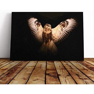 Big Box Art Owl Bird (7) Canvas Print Gallery Wrapped 30mm Frame Wall Art 20x14 inches Ready to Hang Modern Animals Picture Living Room Bedroom Lounge Office Big Box Art Owl Bird (7) Canvas Print Gallery Wrapped 30mm Frame Wall Art 20x14 inches Ready to Hang Modern Animals Picture Living Room Bedroom Lounge Office
