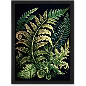 Artery8 Ernst Haeckel Style Fern Fronds Leaf Illustration Artwork Framed Wall Art Print A4 Artery8 Ernst Haeckel Style Fern Fronds Leaf Illustration Artwork Framed Wall Art Print A4