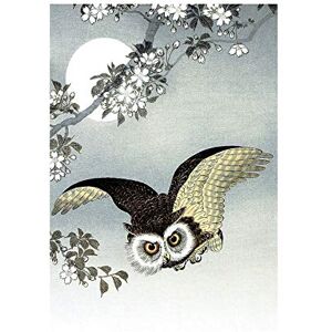 Wee Blue Coo Painting Nature Bird Owl Japan Ohara Koson Wall Art Print Wee Blue Coo Painting Nature Bird Owl Japan Ohara Koson Wall Art Print