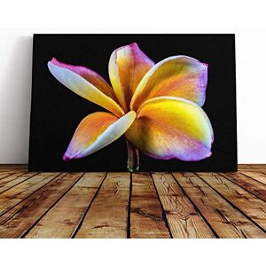 Big Box Art Canvas Print Wall Art Flower Frangipani Mounted and Stretched Box Frame Picture Home Decor for Kitchen, Living, Dining Room, Bedroom, Hallway, Multi-Colour, 30x20 Inch Big Box Art Canvas Print Wall Art Flower Frangipani Mounted and Stretched Box Frame Picture Home Decor for Kitchen, Living, Dining Room, Bedroom, Hallway, Multi-Colour, 30x20 Inch