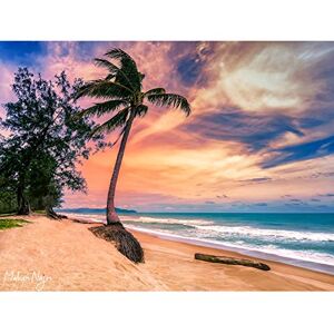 Artery8 Najm Phuket Thailand Tropical Palm Tree Beach Photo Large Wall Art Poster Print Thick Paper 18X24 Inch Artery8 Najm Phuket Thailand Tropical Palm Tree Beach Photo Large Wall Art Poster Print Thick Paper 18X24 Inch