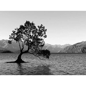 Wee Blue Coo The Lone Tree Lake Wanaka Unframed Wall Art Print Poster Home Decor Wee Blue Coo The Lone Tree Lake Wanaka Unframed Wall Art Print Poster Home Decor