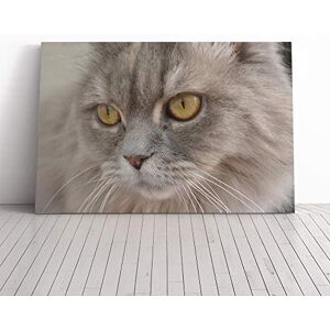 Big Box Art Cat Eyes (8) Canvas Print Gallery Wrapped 30mm Frame Wall Art 20x14 inches Ready to Hang Modern Animals Picture Living Room Bedroom Lounge Office Big Box Art Cat Eyes (8) Canvas Print Gallery Wrapped 30mm Frame Wall Art 20x14 inches Ready to Hang Modern Animals Picture Living Room Bedroom Lounge Office