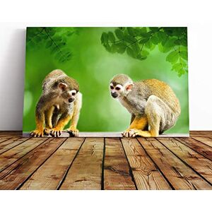 Big Box Art Canvas Print Wall Art Two Monkeys Mounted and Stretched Box Frame Picture Home Decor for Kitchen, Living, Dining Room, Bedroom, Hallway, Multi-Colour, 30x20 Inch Big Box Art Canvas Print Wall Art Two Monkeys Mounted and Stretched Box Frame Picture Home Decor for Kitchen, Living, Dining Room, Bedroom, Hallway, Multi-Colour, 30x20 Inch