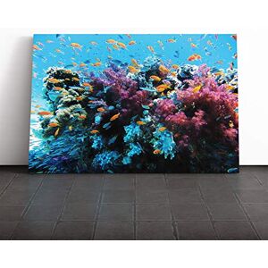 Big Box Art Coral Reef Fish Canvas Print Gallery Wrapped 30mm Frame Wall Art 30x20 inches Ready to Hang Modern Animals Picture Living Room Bedroom Lounge Office Big Box Art Coral Reef Fish Canvas Print Gallery Wrapped 30mm Frame Wall Art 30x20 inches Ready to Hang Modern Animals Picture Living Room Bedroom Lounge Office