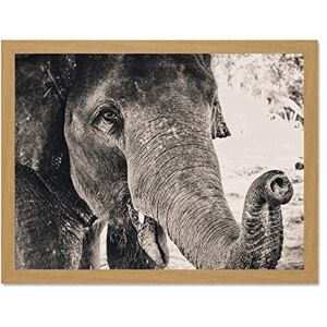 Fine Art Prints Chambon Elephant Close-up Trunk Large Framed Art Print Poster Wall Decor 18x24 inch Fine Art Prints Chambon Elephant Close-up Trunk Large Framed Art Print Poster Wall Decor 18x24 inch