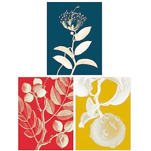 Wee Blue Coo Pack of 3 Bold Bright Botanicals Plant Tree Branch Bloom Blue Red Yellow Unframed Wall Art Living Room Prints Set Wee Blue Coo Pack of 3 Bold Bright Botanicals Plant Tree Branch Bloom Blue Red Yellow Unframed Wall Art Living Room Prints Set