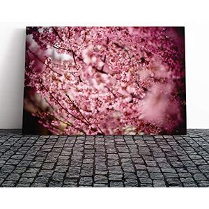 Big Box Art Canvas Print Wall Art Pink Cherry Blossom Tree Flowers (5) Mounted & Stretched Box Frame Picture Home Decor for Kitchen, Living Room, Bedroom, Hallway, Multi-Colour, 20x14 Inch Big Box Art Canvas Print Wall Art Pink Cherry Blossom Tree Flowers (5) Mounted & Stretched Box Frame Picture Home Decor for Kitchen, Living Room, Bedroom, Hallway, Multi-Colour, 20x14 Inch