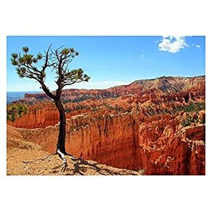 Wee Blue Coo Bryce Canyon Utah USA Landscape Photo Wall Art Print Wee Blue Coo Bryce Canyon Utah USA Landscape Photo Wall Art Print