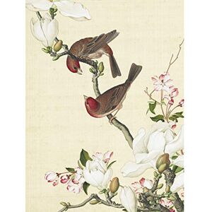 Fine Art Prints Castiglione Kunstdruck auf Leinwand, Motiv: Krebsapfel, Baum mit Vögeln, Premium-Wanddekoration, Poster Fine Art Prints Castiglione Kunstdruck auf Leinwand, Motiv: Krebsapfel, Baum mit Vögeln, Premium-Wanddekoration, Poster