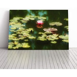 Big Box Art Canvas Print Wall Art Flower Pink Water Lily (2) Mounted and Stretched Box Frame Picture Home Decor for Kitchen, Living, Dining Room, Bedroom, Hallway, Multi-Colour, 20x14 Inch Big Box Art Canvas Print Wall Art Flower Pink Water Lily (2) Mounted and Stretched Box Frame Picture Home Decor for Kitchen, Living, Dining Room, Bedroom, Hallway, Multi-Colour, 20x14 Inch