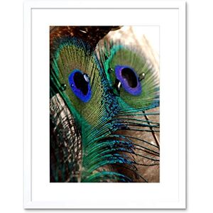 Wee Blue Coo Photo Macro Nature Peacock Feather Detail Colour Cool Framed Wall Art Print Wee Blue Coo Photo Macro Nature Peacock Feather Detail Colour Cool Framed Wall Art Print