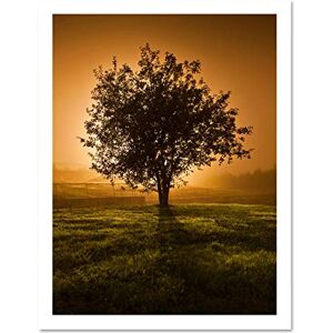 Fine Art Prints Lone Tree Sunset Photo Large White Framed Art Print Wall Poster 18x24 inch Fine Art Prints Lone Tree Sunset Photo Large White Framed Art Print Wall Poster 18x24 inch