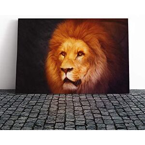 Big Box Art Lion Vol.4 Canvas Print Gallery Wrapped 30mm Frame Wall Art 20x14 inches Ready to Hang Modern Animals Picture Living Room Bedroom Lounge Office Big Box Art Lion Vol.4 Canvas Print Gallery Wrapped 30mm Frame Wall Art 20x14 inches Ready to Hang Modern Animals Picture Living Room Bedroom Lounge Office
