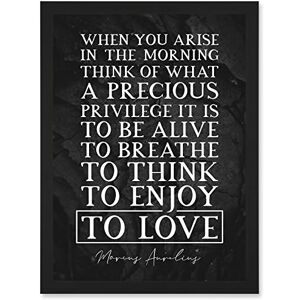 Artery8 - Marcus Aurelius - Framed Wall Art Print Artery8 - Marcus Aurelius - Framed Wall Art Print