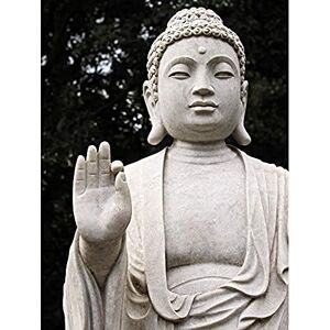 Wee Blue Coo Buddha Statue White Stone Meditation Photo Art Large Art Print Poster Wall Decor 18x24 inch Wee Blue Coo Buddha Statue White Stone Meditation Photo Art Large Art Print Poster Wall Decor 18x24 inch