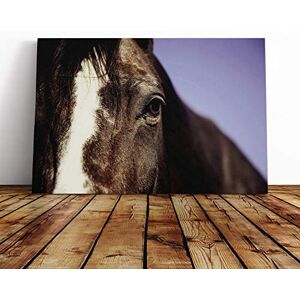 Big Box Art Horse Vol.2 Canvas Print Gallery Wrapped 30mm Frame Wall Art 24x16 inches Ready to Hang Modern Animals Picture Living Room Bedroom Lounge Office Big Box Art Horse Vol.2 Canvas Print Gallery Wrapped 30mm Frame Wall Art 24x16 inches Ready to Hang Modern Animals Picture Living Room Bedroom Lounge Office