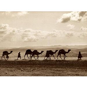 Fine Art Prints Photo Egyptian Camel Train Caravan Desert Panorama Art Print Canvas Premium Wall Decor Poster Mural Fine Art Prints Photo Egyptian Camel Train Caravan Desert Panorama Art Print Canvas Premium Wall Decor Poster Mural