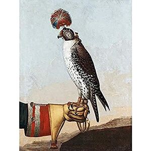 Fine Art Prints Royal Islandic Icelandic Gerfalcon Falconry Bird Painting Art Print Canvas Premium Wall Decor Poster Mural Fine Art Prints Royal Islandic Icelandic Gerfalcon Falconry Bird Painting Art Print Canvas Premium Wall Decor Poster Mural
