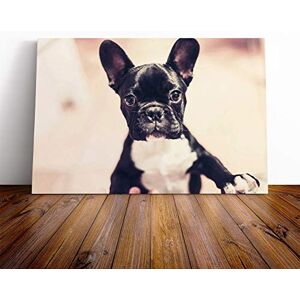 Big Box Art Canvas Print Wall Art French Bulldog Puppy Dog Mounted and Stretched Box Frame Picture Home Decor for Kitchen, Living, Dining Room, Bedroom, Hallway, Multi-Colour, 24x16 Inch Big Box Art Canvas Print Wall Art French Bulldog Puppy Dog Mounted and Stretched Box Frame Picture Home Decor for Kitchen, Living, Dining Room, Bedroom, Hallway, Multi-Colour, 24x16 Inch