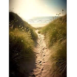 Artery8 Summer Beach Path Photograph Bright Sunny Sandy Coastal Landscape Seascape Extra Large XL Wall Art Poster Print Artery8 Summer Beach Path Photograph Bright Sunny Sandy Coastal Landscape Seascape Extra Large XL Wall Art Poster Print