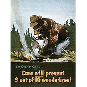 Fine Art Prints War WWII USA Smokey Bear Prevent Forest Fires Advert Unframed Wall Art Print Poster Home Decor Premium Fine Art Prints War WWII USA Smokey Bear Prevent Forest Fires Advert Unframed Wall Art Print Poster Home Decor Premium
