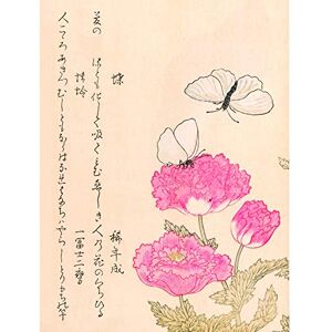 Artery8 Kitagawa Utamaro Butterfly Flowers Japanese Painting Large Wall Art Poster Print Thick Paper 18X24 Inch Artery8 Kitagawa Utamaro Butterfly Flowers Japanese Painting Large Wall Art Poster Print Thick Paper 18X24 Inch