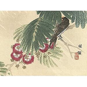 Artery8 Kono Bairei Barn Swallow Japanese Woodblock Art Print Canvas Premium Wall Decor Poster Mural Artery8 Kono Bairei Barn Swallow Japanese Woodblock Art Print Canvas Premium Wall Decor Poster Mural