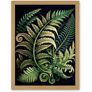 Artery8 Ernst Haeckel Style Fern Fronds Leaf Illustration Artwork Framed Wall Art Print 18X24 Inch Artery8 Ernst Haeckel Style Fern Fronds Leaf Illustration Artwork Framed Wall Art Print 18X24 Inch