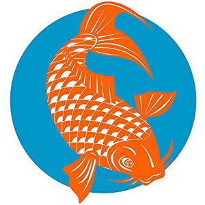 Wee Blue Coo Painting Koi Carp Gold Fish Japanese Scales Tail Fin Art Print Poster Wall Decor 12X16 Inch Wee Blue Coo Painting Koi Carp Gold Fish Japanese Scales Tail Fin Art Print Poster Wall Decor 12X16 Inch