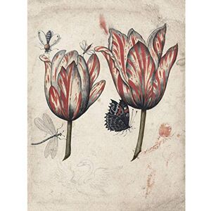 Artery8 Two Tulips Bugs Insects Flowers Painting Large Wall Art Poster Print Thick Paper 18X24 Inch Artery8 Two Tulips Bugs Insects Flowers Painting Large Wall Art Poster Print Thick Paper 18X24 Inch
