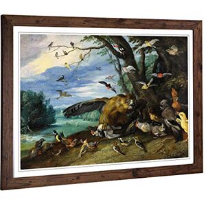 Big Box Art Framed Print of Jan Van Kessel Birds Fighting Design Wall Art Picture Home Decor for Kitchen, Living, Dining Room, Bedroom, Hallway, Office, Walnut, A2 / 24.5x18 Inch / 62x45cm Big Box Art Framed Print of Jan Van Kessel Birds Fighting Design Wall Art Picture Home Decor for Kitchen, Living, Dining Room, Bedroom, Hallway, Office, Walnut, A2 / 24.5x18 Inch / 62x45cm