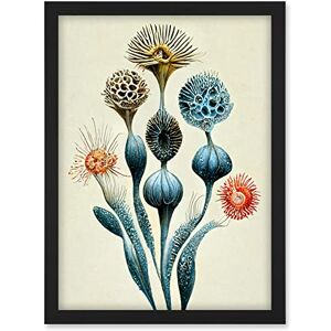 Doppelganger33 LTD Ernst Haeckel Style Alien Flowers Detailed Illustrations Artwork Framed A3 Wall Art Print Doppelganger33 LTD Ernst Haeckel Style Alien Flowers Detailed Illustrations Artwork Framed A3 Wall Art Print