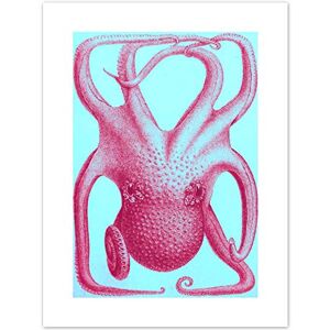 Fine Art Prints Pink Octopus Illustration Art Print Canvas Premium Wall Decor Poster Fine Art Prints Pink Octopus Illustration Art Print Canvas Premium Wall Decor Poster