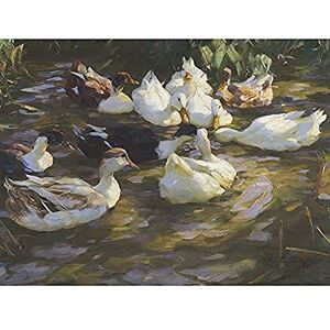 Fine Art Prints Koester Ducks Pond Birds Nature Painting Art Print Canvas Premium Wall Decor Poster Mural Fine Art Prints Koester Ducks Pond Birds Nature Painting Art Print Canvas Premium Wall Decor Poster Mural