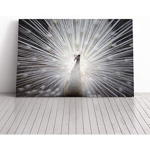 Big Box Art White Peacock Bird Vol.2 Canvas Print Gallery Wrapped 30mm Frame Wall Art 20x14 inches Ready to Hang Modern Animals Picture Living Room Bedroom Lounge Office Big Box Art White Peacock Bird Vol.2 Canvas Print Gallery Wrapped 30mm Frame Wall Art 20x14 inches Ready to Hang Modern Animals Picture Living Room Bedroom Lounge Office