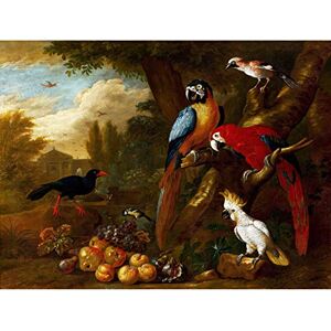 Wee Blue Coo LTD PAINTING BOGDANI TWO MACAWS COCKATOO JAY FRUIT ART PRINT PICTURE POSTER HP2929 Wee Blue Coo LTD PAINTING BOGDANI TWO MACAWS COCKATOO JAY FRUIT ART PRINT PICTURE POSTER HP2929