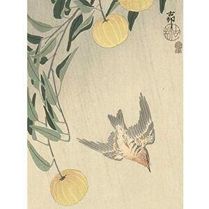 Artery8 Ohara Koson Cuckoo In The Rain Japanese Painting Unframed Wall Art Print Poster Home Decor Premium Artery8 Ohara Koson Cuckoo In The Rain Japanese Painting Unframed Wall Art Print Poster Home Decor Premium