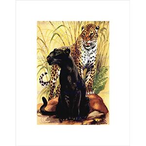 Wee Blue Coo PAINTING ANIMAL LEOPARD BLACK SPOTTED CAT JUNGLE FRAMED ART PRINT MOUNT B12X7201 Wee Blue Coo PAINTING ANIMAL LEOPARD BLACK SPOTTED CAT JUNGLE FRAMED ART PRINT MOUNT B12X7201