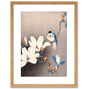 Wee Blue Coo Painting Japan Ohara Koson Bird Flower Framed Wall Art Print Wee Blue Coo Painting Japan Ohara Koson Bird Flower Framed Wall Art Print