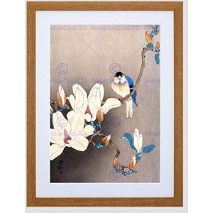 Wee Blue Coo Nature Japan Ohara Koson Bird Flower Picture Framed Wall Art Print Wee Blue Coo Nature Japan Ohara Koson Bird Flower Picture Framed Wall Art Print