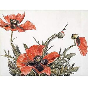 Fine Art Prints Demuth Red Poppies Watercolour Drawing Painting Art Print Canvas Premium Wall Decor Poster Mural Fine Art Prints Demuth Red Poppies Watercolour Drawing Painting Art Print Canvas Premium Wall Decor Poster Mural