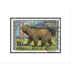 Wee Blue Coo POSTAGE STAMP MONGOLIA 10 TOGROG RUSSIAN BROWN BEAR FRAMED ART PRINT B12X11047 Wee Blue Coo POSTAGE STAMP MONGOLIA 10 TOGROG RUSSIAN BROWN BEAR FRAMED ART PRINT B12X11047