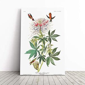 Big Box Art John James Audubon Ruff Necked Humming Bird Canvas Print Gallery Wrapped 30mm Frame Wall Art 24x16 inches Ready to Hang Modern Animals Picture Living Room Bedroom Lounge Office Big Box Art John James Audubon Ruff Necked Humming Bird Canvas Print Gallery Wrapped 30mm Frame Wall Art 24x16 inches Ready to Hang Modern Animals Picture Living Room Bedroom Lounge Office